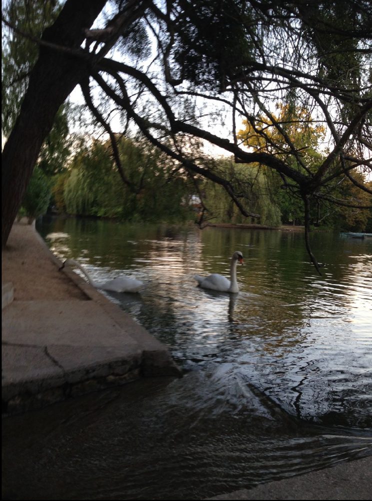 Le bois de Vincennes : entre forêt royale, jardin impérial et poumon vert de la capitale