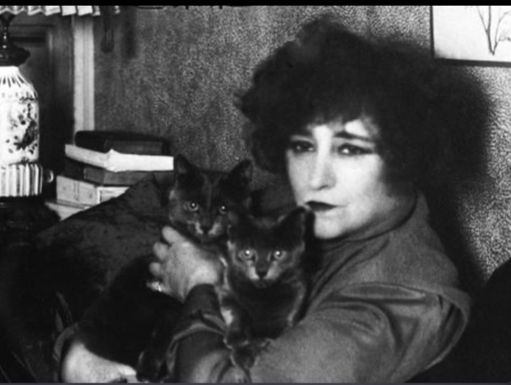 Colette : de la Scandaleuse à la Bonne Dame du Palais-Royal